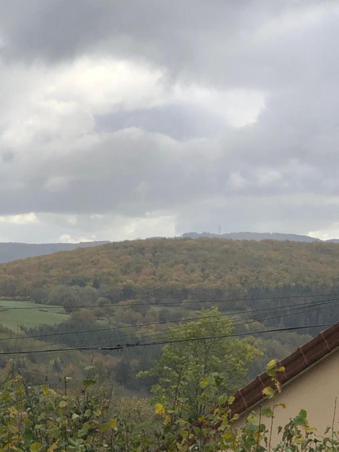 Ferme Fleurie Bed & Breakfast Bergesserin Exterior photo