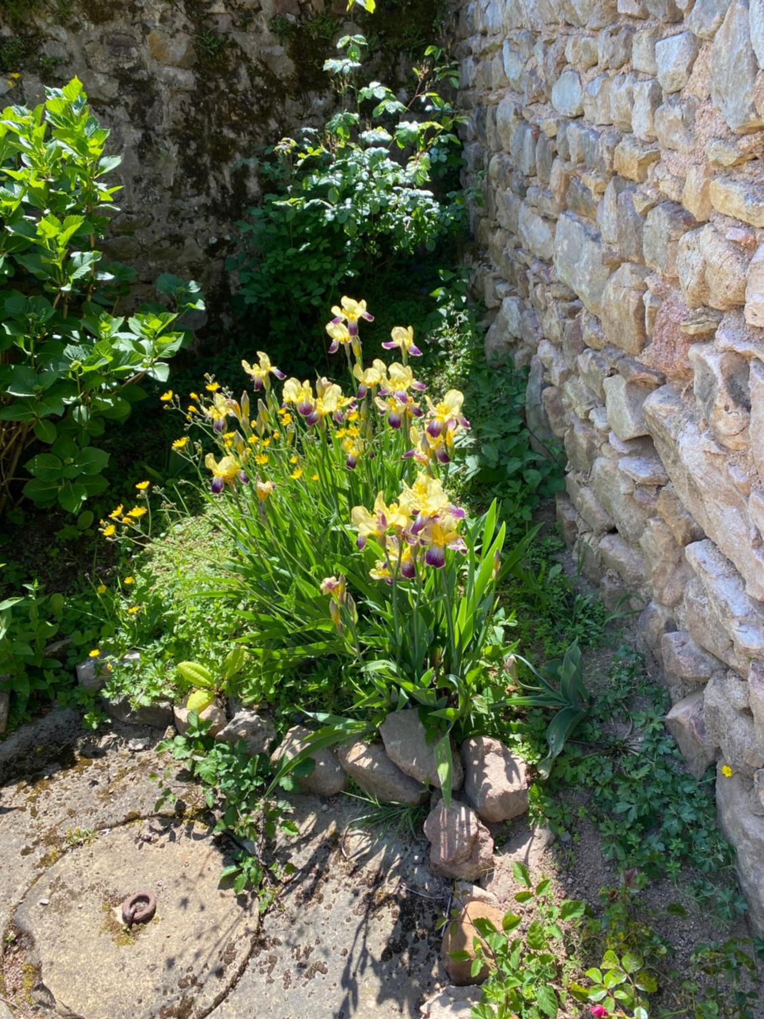 Ferme Fleurie Bed & Breakfast Bergesserin Exterior photo